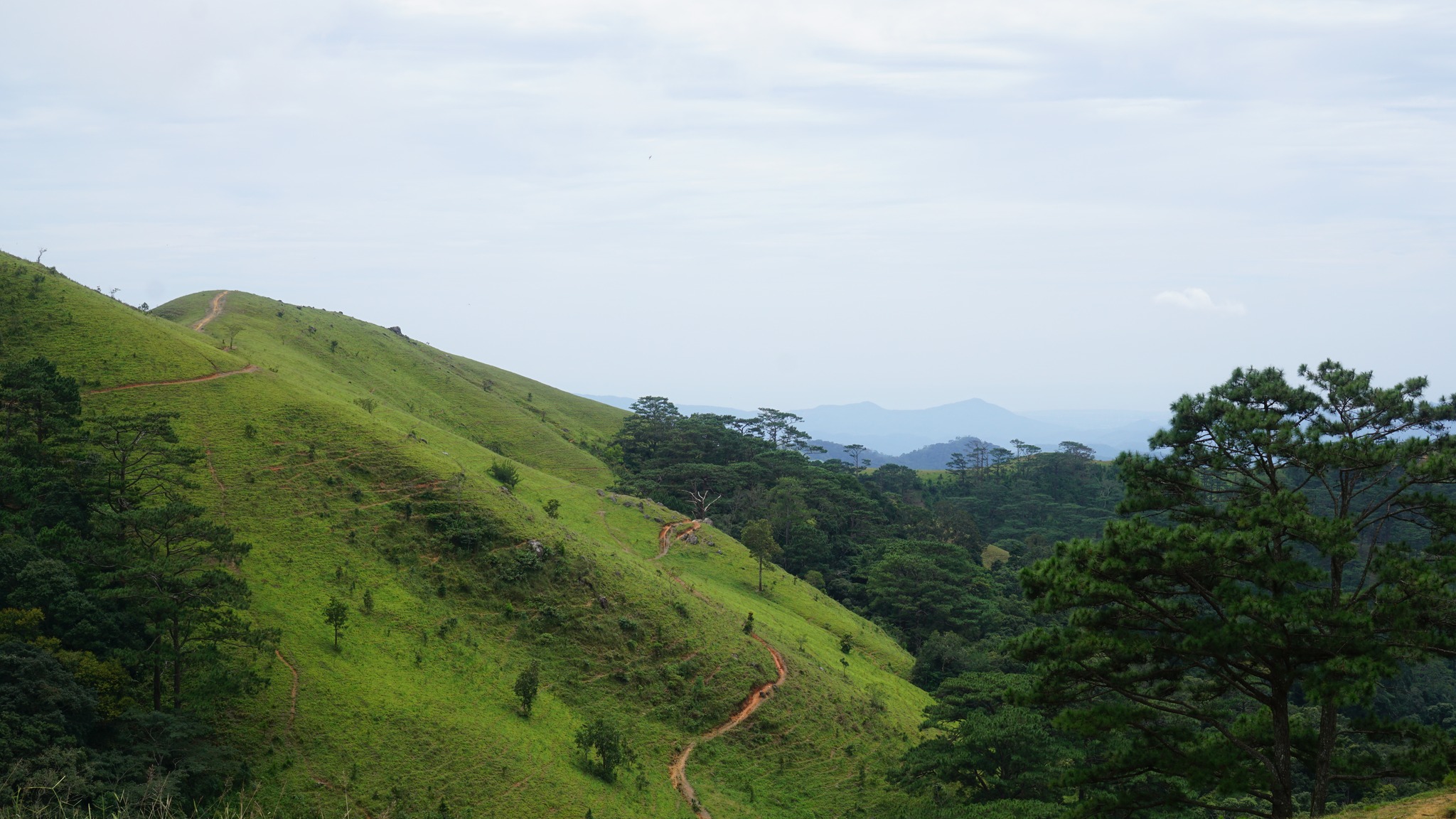 Hiking in Quang Binh Ha Giang's Bac Ha Tour 10 Days